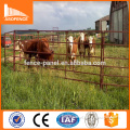 Livestock handling Equipment/Cattle ranch yards equipment